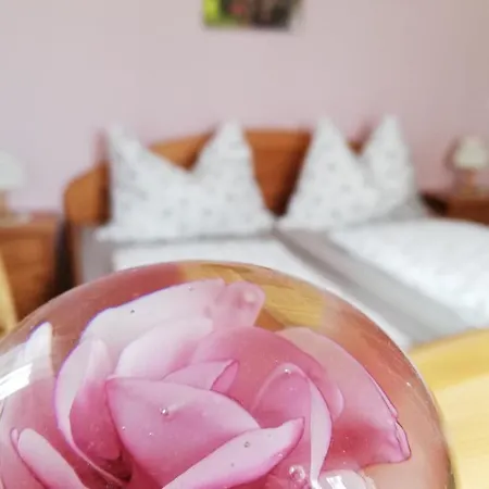 ファームステイ Wachmann *