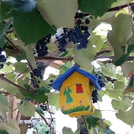 Wachmann Rohrbach am Kulm