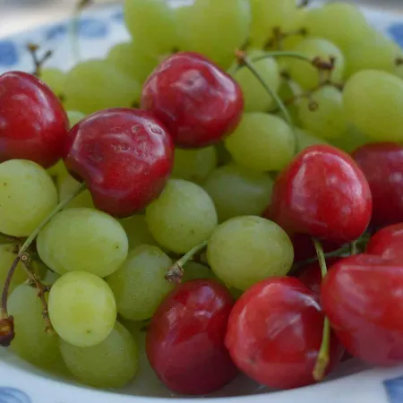 Wachmann ファームステイ