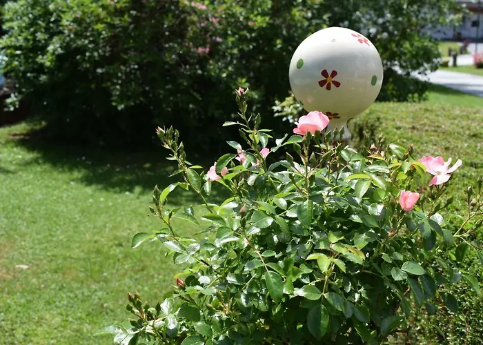 Alojamento de Turismo Rural Wachmann *