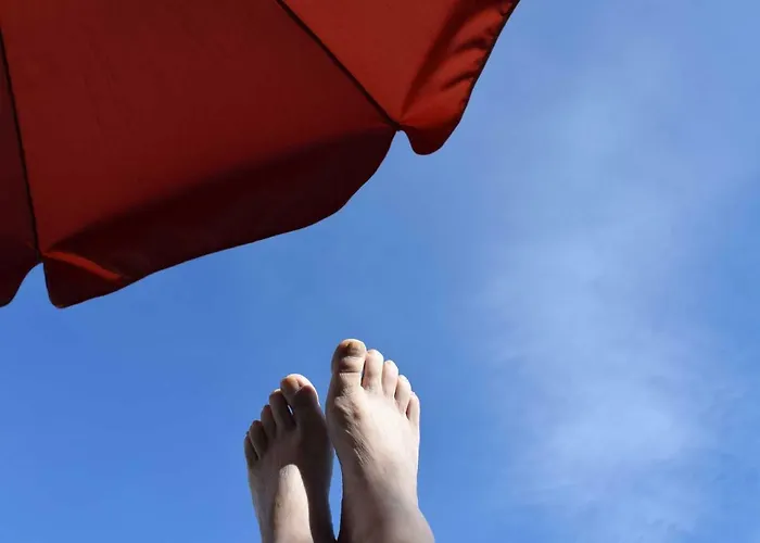 Wachmann Rohrbach am Kulm