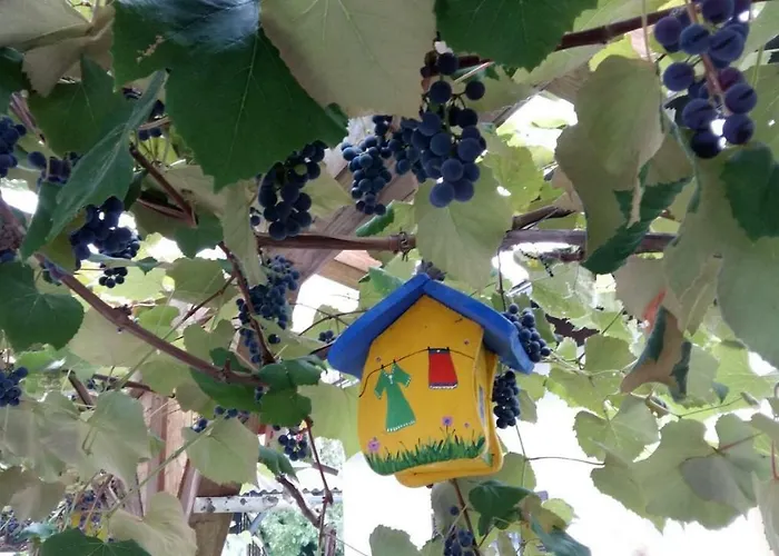 Wachmann Rohrbach am Kulm