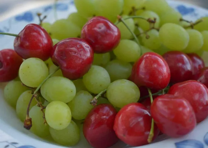 Wachmann Alloggio per agriturismo